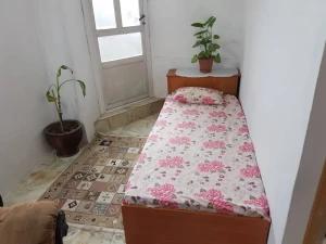 سوئیت ساحلی فریدونکنار سوئیت ساحلی فریدونکنار