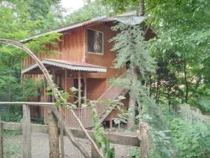 کلبه چوبی دوبلکس سامان ماسال کلبه چوبی دوبلکس سامان ماسال