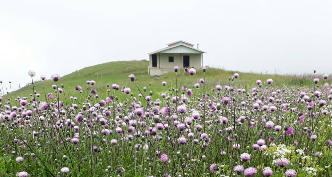 ویلا آیتک تالش