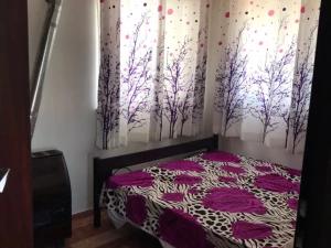 سوئیت مبله پامچال رامسر سوئیت مبله پامچال رامسر