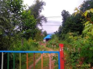 سوئیت نقلی محمدزاده فومن سوئیت نقلی محمدزاده فومن