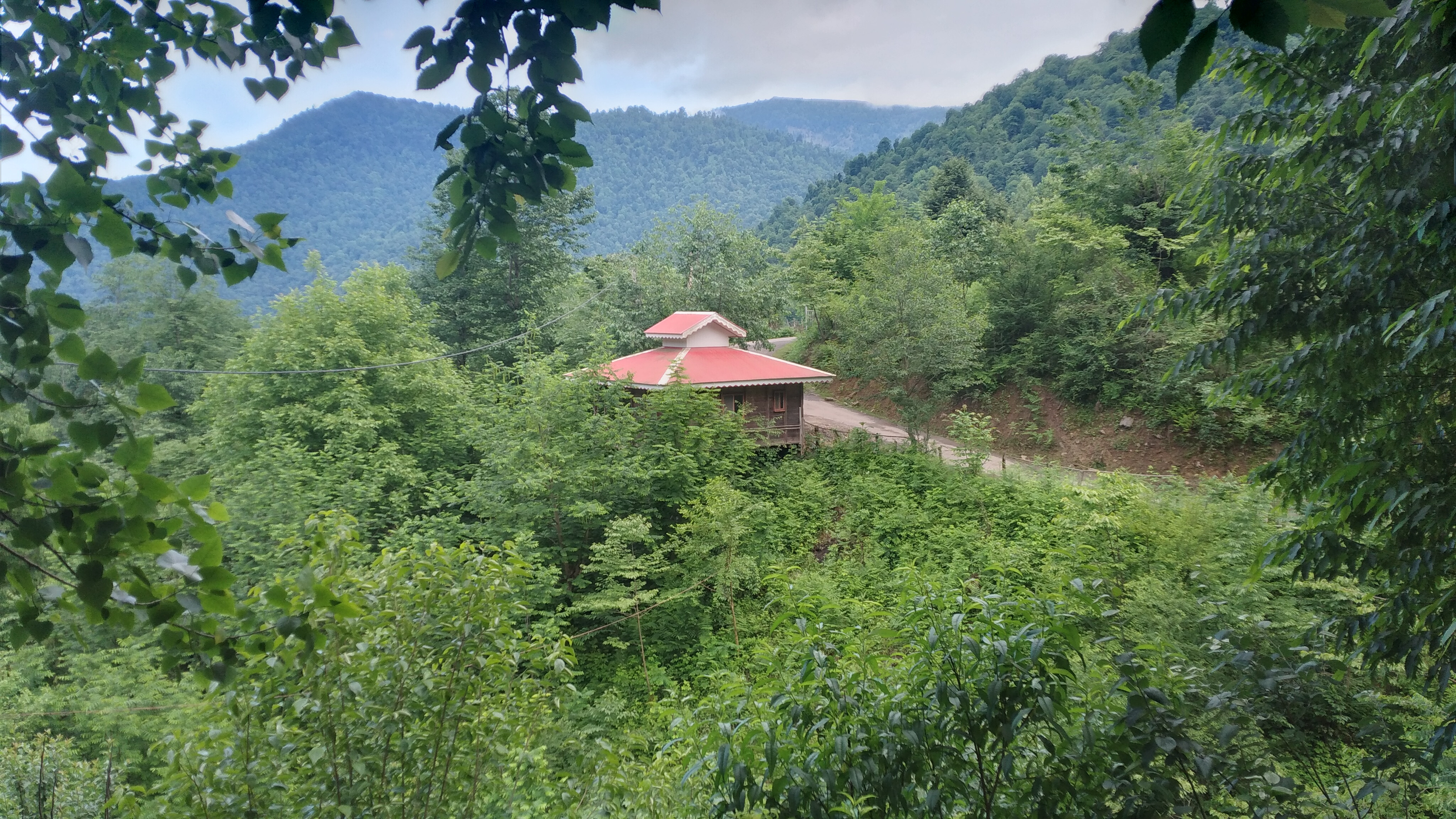 کلبه چوبی جنگلی آرش ماسال