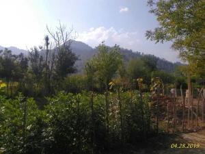 سوئیت عباسی فومن سوئیت عباسی فومن