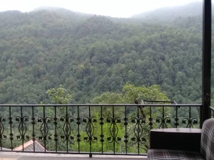 ویلا جنگلی در ارتفاعات چابکسر