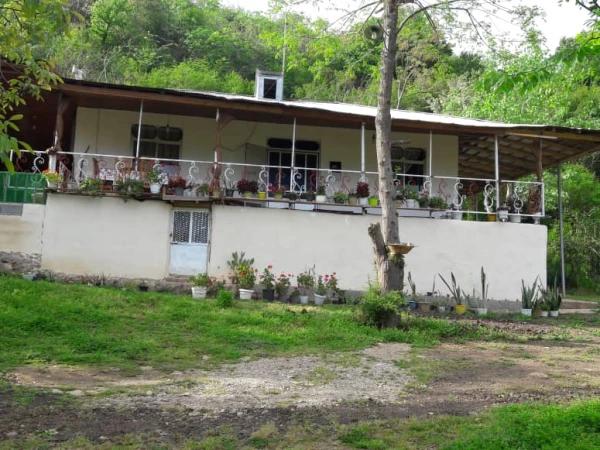 ویلا دوخوابه جنگلی ماسال ویلا دوخوابه جنگلی ماسال