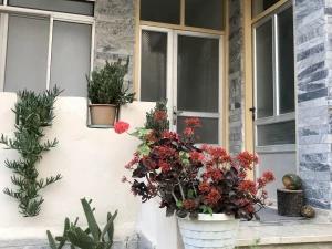 ویلا آپارتمان یک خوابه بهشهر ویلا آپارتمان یک خوابه بهشهر