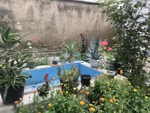 ویلا آپارتمان یک خوابه بهشهر ویلا آپارتمان یک خوابه بهشهر