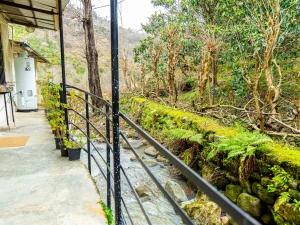 سوئیت کوه سبز 1 رامسر سوئیت کوه سبز 1 رامسر