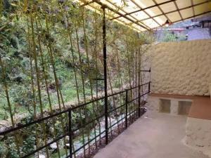 سوئیت کوه سبز 3 رامسر سوئیت کوه سبز 3 رامسر