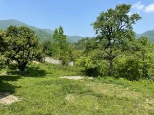 ویلا دوخوابه ماسال ویلا دوخوابه ماسال