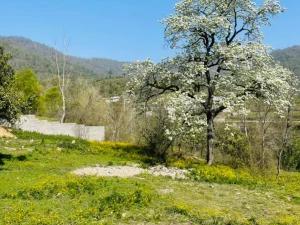 ویلا دوخوابه ماسال ویلا دوخوابه ماسال