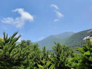 آپارتمان دو خوابه واحد1 کلاردشت آپارتمان دو خوابه واحد1 کلاردشت