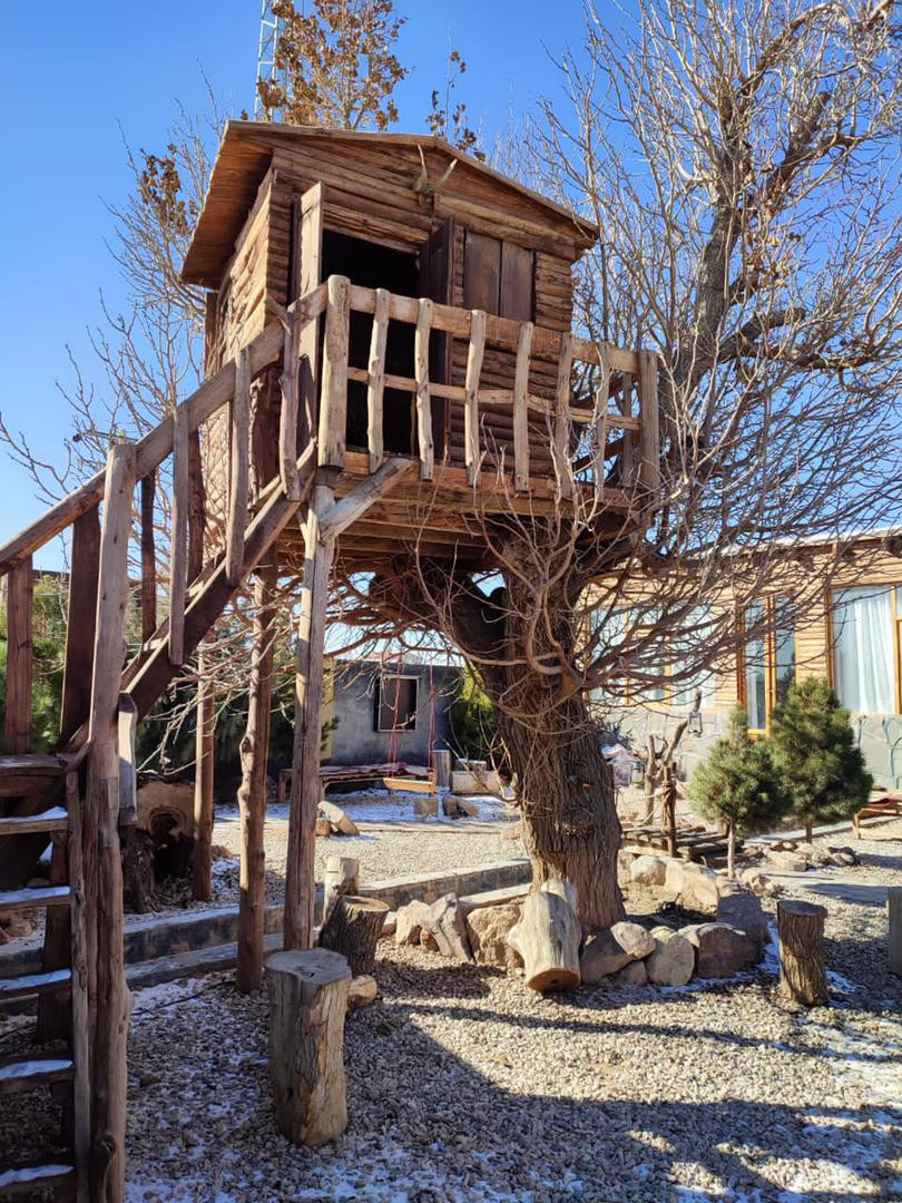 بوم گردی شاه توت شاهرود