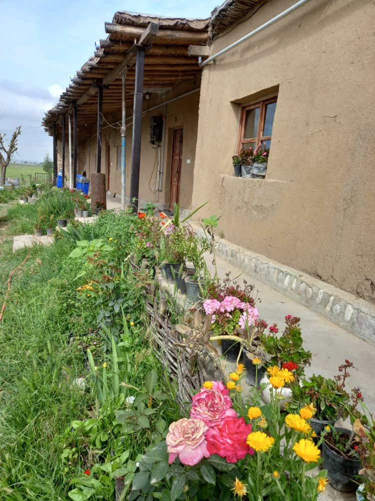 اقامتگاه بوم گردی آرتق آق قمیش گالیکش