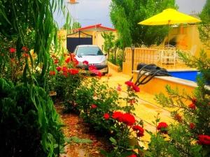 ویلا دو خوابه استخردار چهارباغ ویلا دو خوابه استخردار چهارباغ