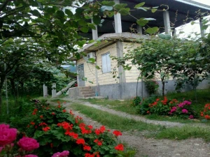 خانه ویلایی 1 خوابه جوکندان تالش خانه ویلایی 1 خوابه جوکندان تالش