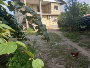 خانه ویلایی 1 خوابه جوکندان تالش خانه ویلایی 1 خوابه جوکندان تالش