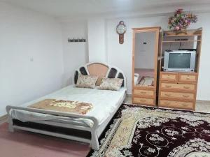 مینوسوئیت مینودشت مینوسوئیت مینودشت