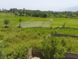 آپارتمان یاس طبقه دوم شرقی چالوس آپارتمان یاس طبقه دوم شرقی چالوس