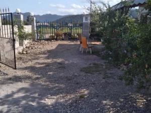 سوئیت شالیزار ماسال سوئیت شالیزار ماسال