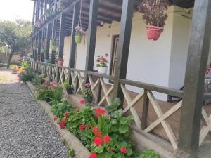 اقامتگاه بوم گردی پائیزان رشت اقامتگاه بوم گردی پائیزان رشت