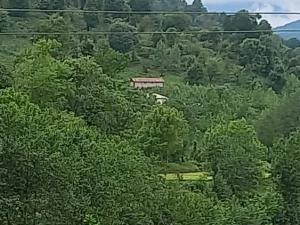 آپارتمان دو خوابه محمدحسین2 ماسال آپارتمان دو خوابه محمدحسین2 ماسال