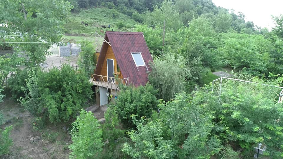 کلبه چوبی محیا سیاهکل