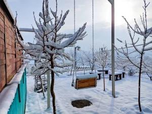 ویلا خانه رنگی طرقبه ویلا خانه رنگی طرقبه