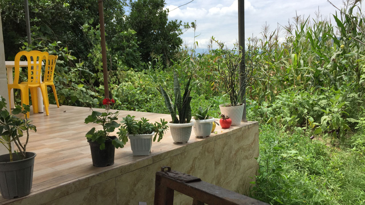 ویلا جنگلی شهربیجار