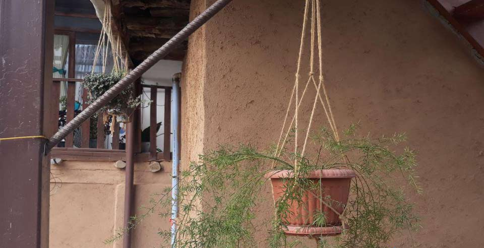 بوم گردی روجا بندرگز