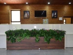 مجتمع آفتاب چغاخور بروجن مجتمع آفتاب چغاخور بروجن