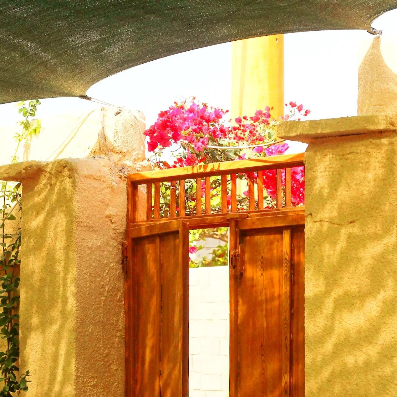 اقامتگاه بوم گردی بوم هرمزی جزیره هرمز