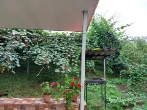 سوئیت باغ دلنشین رامسر سوئیت باغ دلنشین رامسر