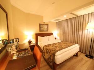 هتل کارتون استانبول هتل کارتون استانبول