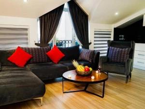 هتل ماریون سوییت تکسیم استانبول هتل ماریون سوییت تکسیم استانبول