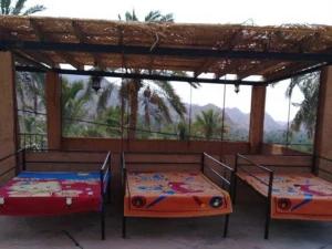 اقامتگاه بوم گردی بیرمی بوشهر اقامتگاه بوم گردی بیرمی بوشهر