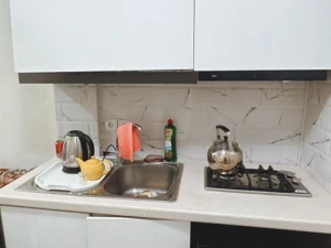 سوئیت یک خوابه طبقه همکف 2 تجریش سوئیت یک خوابه طبقه همکف 2 تجریش