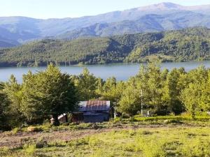 سوئیت کانکسی یک خوابه جنگلی 2 سوادکوه سوئیت کانکسی یک خوابه جنگلی 2 سوادکوه