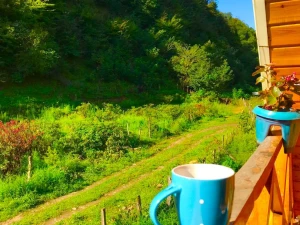 کلبه چوبی رویایی ماسال کلبه چوبی رویایی ماسال