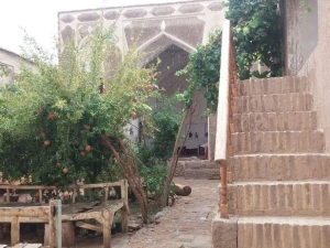 اقامتگاه بوم گردی ابو منصور ریابی گناباد