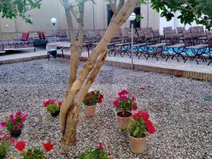 بوم گردی آفتاب مروست یزد بوم گردی آفتاب مروست یزد