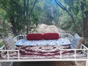 اقامتگاه بوم گردی سرای بهشت بافق یزد اقامتگاه بوم گردی سرای بهشت بافق یزد