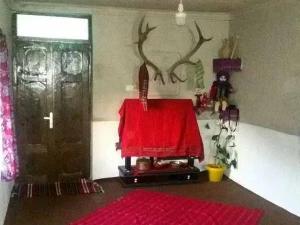 اقامتگاه بوم گردی سرخدار علی آباد کتول اقامتگاه بوم گردی سرخدار علی آباد کتول