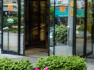 هتل آلدینو آنکارا هتل آلدینو آنکارا