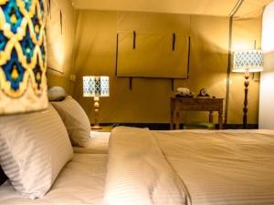 اکو کمپ ستاره لوت شهداد اکو کمپ ستاره لوت شهداد