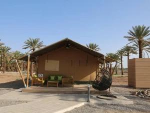 اکو کمپ ستاره لوت شهداد اکو کمپ ستاره لوت شهداد