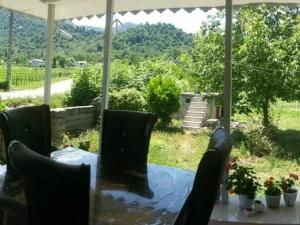 ویلا باغ خاطره کنار رودخانه ماسال ویلا باغ خاطره کنار رودخانه ماسال