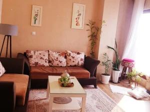 سوئیت ساحلی شیخیانی بوشهر سوئیت ساحلی شیخیانی بوشهر