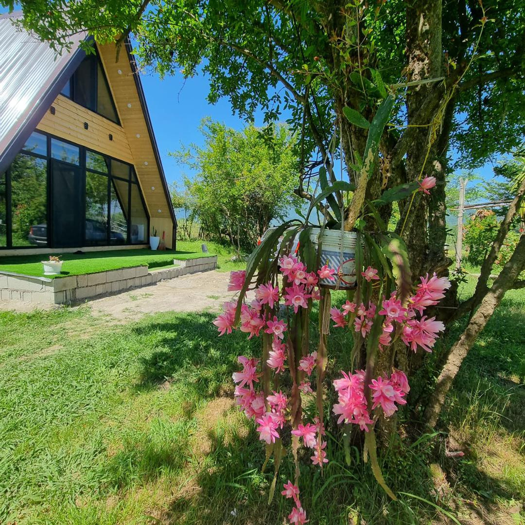 کلبه چوبی سوئیسی دوبلکس جنگلی ماسال