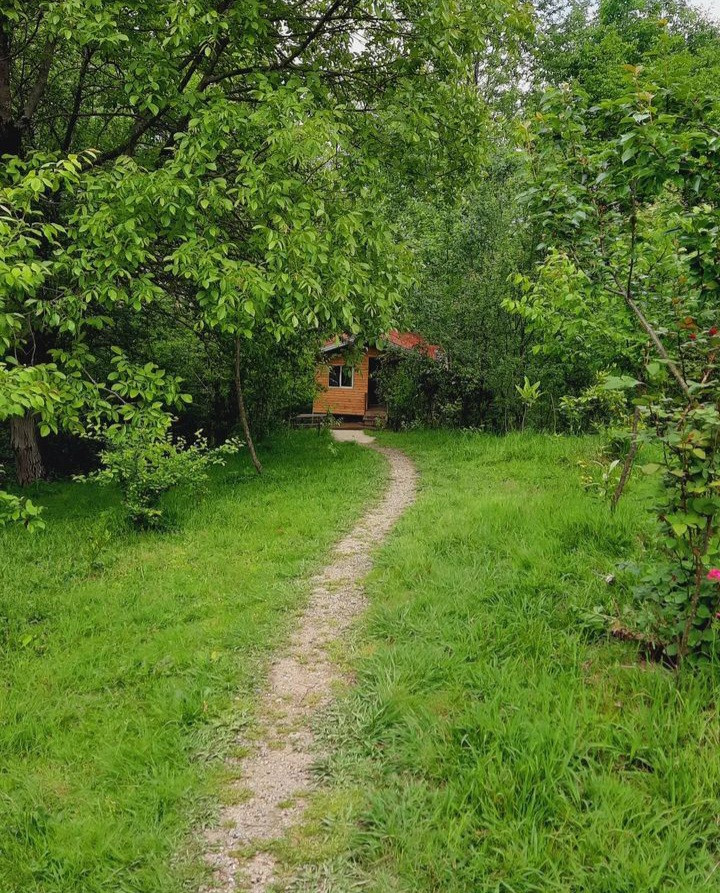 کلبه جنگلی شیروان3 ماسال